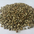 Free sample bulk 80% organic hemp seed protein powder manufacturer